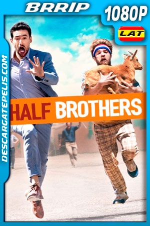 Medios Hermanos (2020) 1080p BRrip Latino Medios Hermanos (2020) 1080p BRrip Latino