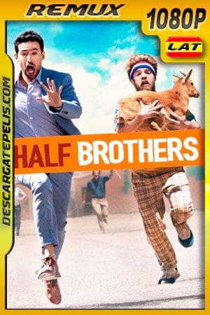 Medios Hermanos (2020) 1080p Remux Latino Medios Hermanos (2020) 1080p Remux Latino