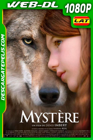 Misterio (2021) 1080p WEB-DL Latino Misterio (2021) 1080p WEB-DL Latino
