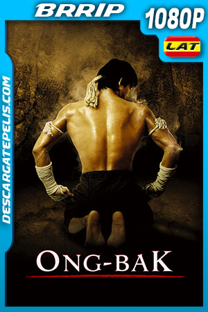 Ong Bak: El guerrero Muay Thai (2003) 1080p BRRip Latino Ong Bak: El guerrero Muay Thai (2003) 1080p BRRip Latino