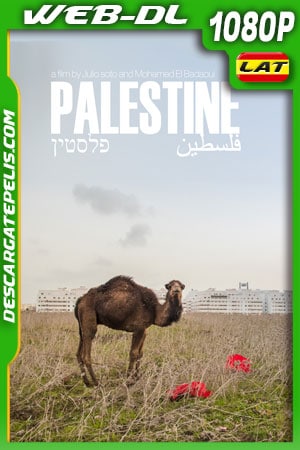 Palestina: Una tierra en conflicto (2017) 1080p WEB-DL AMZN Latino Palestina: Una tierra en conflicto (2017) 1080p WEB-DL AMZN Latino