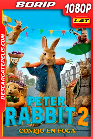 Peter Rabbit 2 Conejo en fuga (2021) 1080p BDRip Latino Peter Rabbit 2 Conejo en fuga (2021) 1080p BDRip Latino