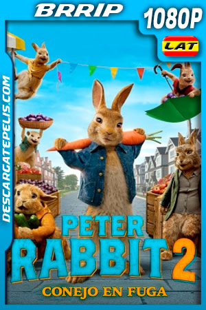 Peter Rabbit 2 Conejo en fuga (2021) 1080p BRRip Latino Peter Rabbit 2 Conejo en fuga (2021) 1080p BRRip Latino