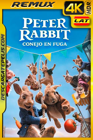Peter Rabbit 2 Conejo en fuga (2021) 4K Remux HDR Latino Peter Rabbit 2 Conejo en fuga (2021) 4K Remux HDR Latino