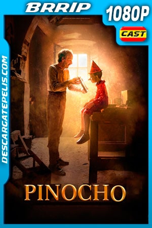 Pinocho (2019) 1080p BRRip Pinocho (2019) 1080p BRRip