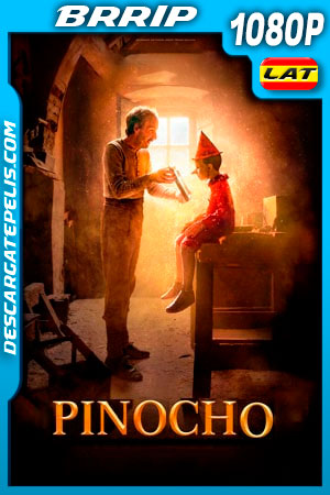 Pinocho (2019) 1080p BRRip Latino