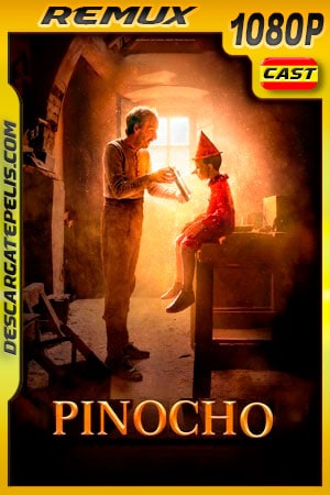 Pinocho (2019) 1080p Remux Pinocho (2019) 1080p Remux