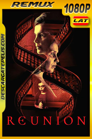 Reunion (2020) 1080p Remux Latino Reunion (2020) 1080p Remux Latino