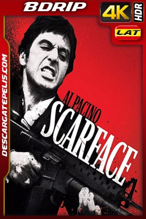 Scarface (1983) 4k BDrip HDR Latino - Ingles Scarface (1983) 4k BDrip HDR Latino - Ingles