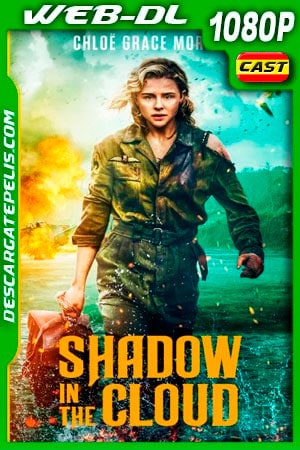 Pasajero oculto (2020) 1080p WEB-DL Pasajero oculto (2020) 1080p WEB-DL