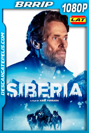 Siberia (2020) 1080p BRrip Latino Siberia (2020) 1080p BRrip Latino