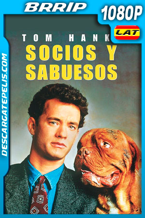 Socios y sabuesos (1989) 1080p BRrip Latino Socios y sabuesos (1989) 1080p BRrip Latino