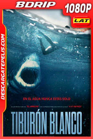 Tiburón blanco (2021) 1080p BDrip Latino Tiburón blanco (2021) 1080p BDrip Latino