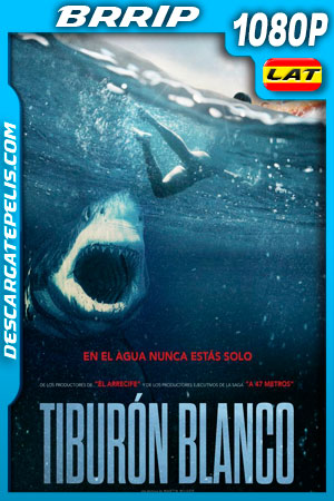 Tiburón blanco (2021) 1080p BRrip Latino Tiburón blanco (2021) 1080p BRrip Latino