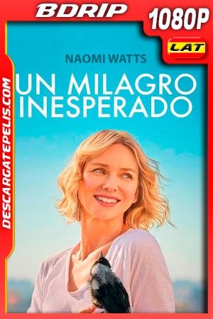 Un milagro inesperado (2020) 1080p BDrip Latino Un milagro inesperado (2020) 1080p BDrip Latino