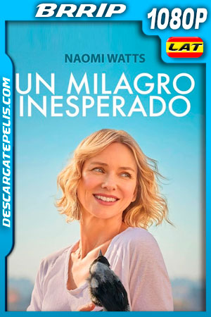 Un milagro inesperado (2020) 1080p BRRip Latino Un milagro inesperado (2020) 1080p BRRip Latino