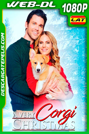Una Navidad con Corgi (2019) 1080p WEB-DL Latino Una Navidad con Corgi (2019) 1080p WEB-DL Latino