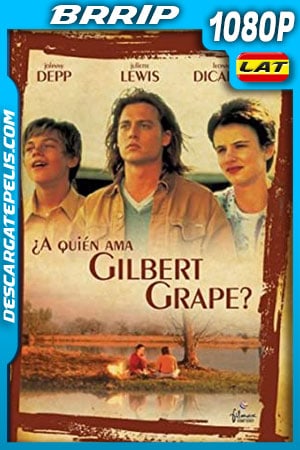 ¿A quién ama Gilbert Grape? (1993) 1080p BRrip Latino